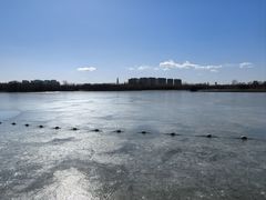 -大兴滨河森林公园