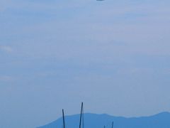 -贡湖湾湿地公园