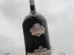 -美心红酒小镇游乐园