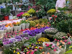 -双季花艺园艺市场(浦东店)