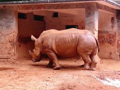 -昆明动物园