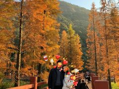 -广州市石门国家森林公园