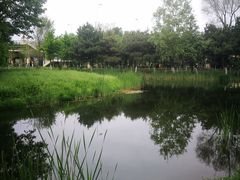 -长白岛森林公园