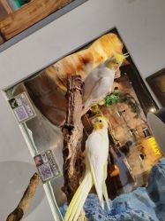 -Zoolung Zoolung动物主题公园(海信广场店)