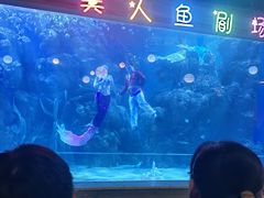 -邯郸海洋世界