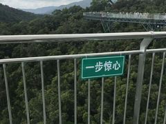 -呀诺达热带雨林