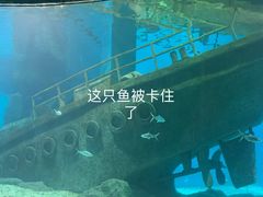 -福州罗源湾海洋世界旅游区