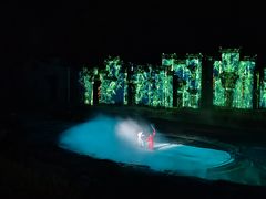 -婺源梦里老家大型山水实景演出