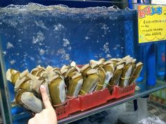 -蚝专家(北滘店)