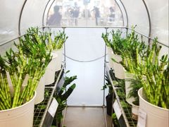 -宜家家居(四元桥商场店)