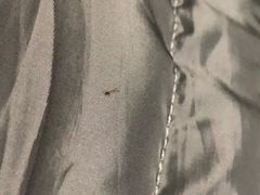 -优衣库(上海金桥国际商业广场店)