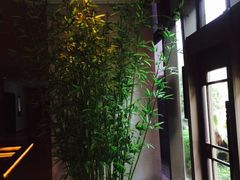树-上海外滩英迪格酒店