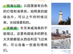 -幸福门