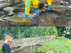 -成都市活水公园