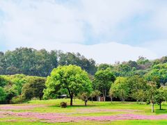 -福建鲤鱼洲酒店