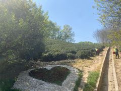 -南京市江宁方山