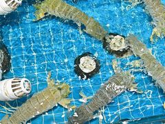 -醉壹号海鲜大排档(厦门店)