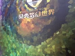 -贝壳梦幻世界