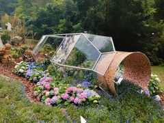 -深圳仙湖植物园