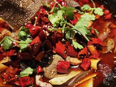 -川堂风·跷脚牛肉·乐山爆炒(宝山日月光店)