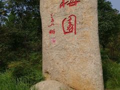 -绍兴镜湖国家城市湿地公园