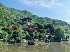 -桃花岭景区
