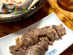 -将军关探险漂流