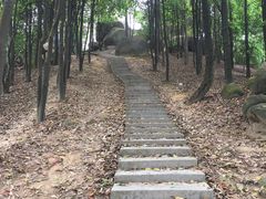 -火炉山森林公园