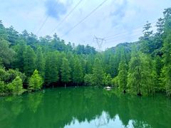-广州市帽峰山景区