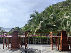 -日落吧·海景咖啡厅·餐酒吧·鸡尾酒·下午茶·乐队表演·浪漫夕阳·三亚文华东方酒店