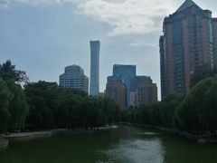 -团结湖公园
