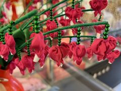 -丹噶尔古城