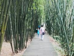 -四洞沟景区