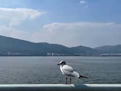 -海埂大坝