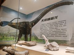 -安徽省地质博物馆