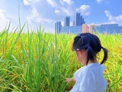 -光明小镇欢乐田园