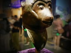 -广西壮族自治区博物馆