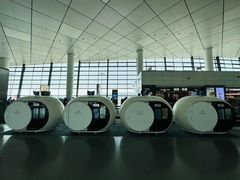 -郑州新郑国际机场-T2航站楼