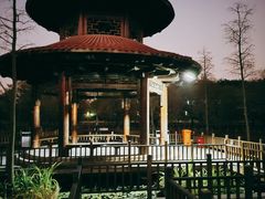 -五缘湾湿地公园
