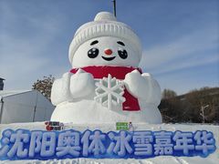 -沈阳奥体冰雪嘉年华