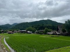 -白川乡与五箇山的合掌构造村落