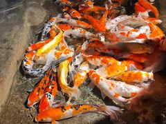 -海合安青岛极地海洋公园
