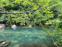 -黄山翡翠谷景区