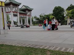 -王借岗森林公园