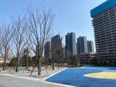 -金沙湖公园
