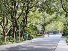 -昆山城市生态森林公园