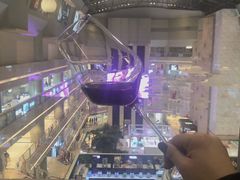 -1981牛排西餐厅(海信店)