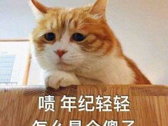 -东北人粗粮饺子坊(南山店)