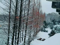 -紫金山天文台