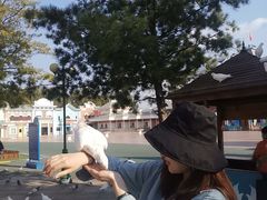 -沈阳方特欢乐世界